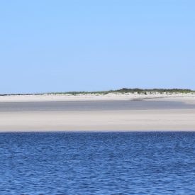Dsc_0155 (2)